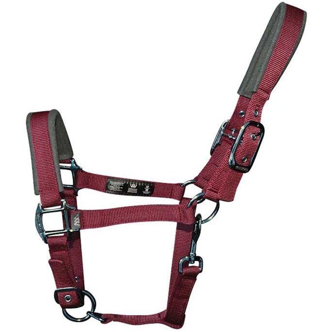 Woof Wear Kontur Kopf Halsband WS0022 - Shiraz